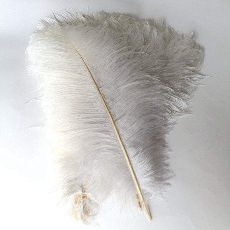 Shekyeon 12-14inch(30-35cm) Ostrich Feathers Plumes for Wedding Centerpieces Pack of 10(White) - Image 2